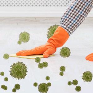 琪利美洗护清洁