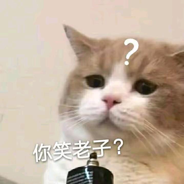 你们都不用修飞机的吗
