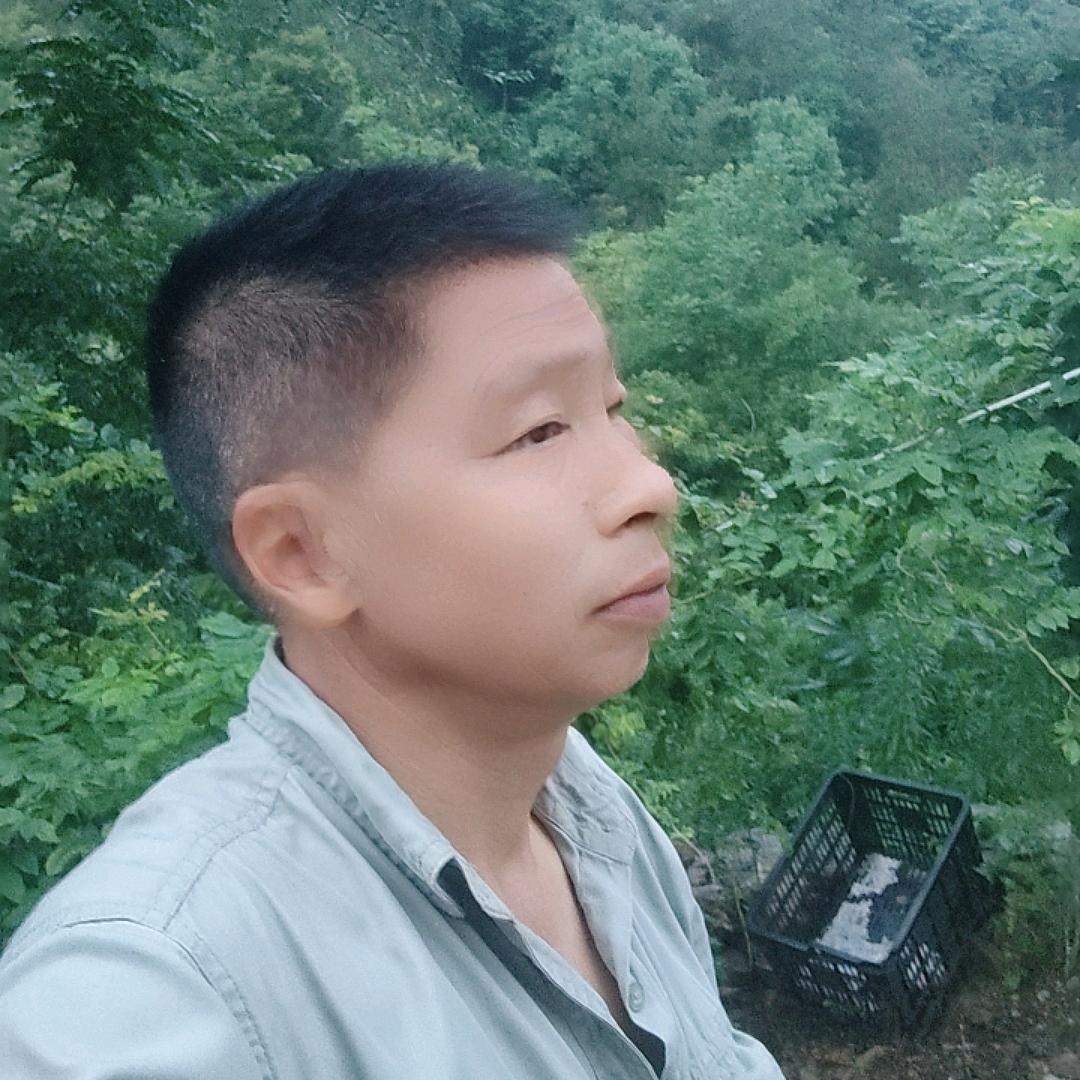 电力哥（1月5号19点10分首播）