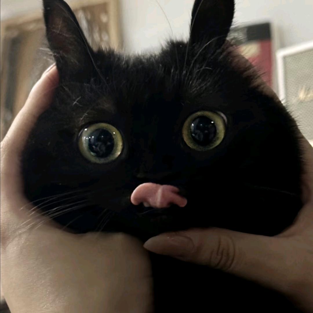 ab
