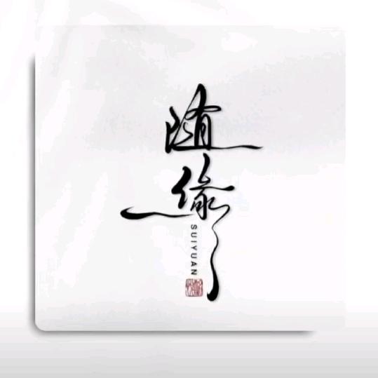 漂泊的人