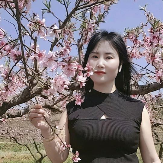 何姐来了