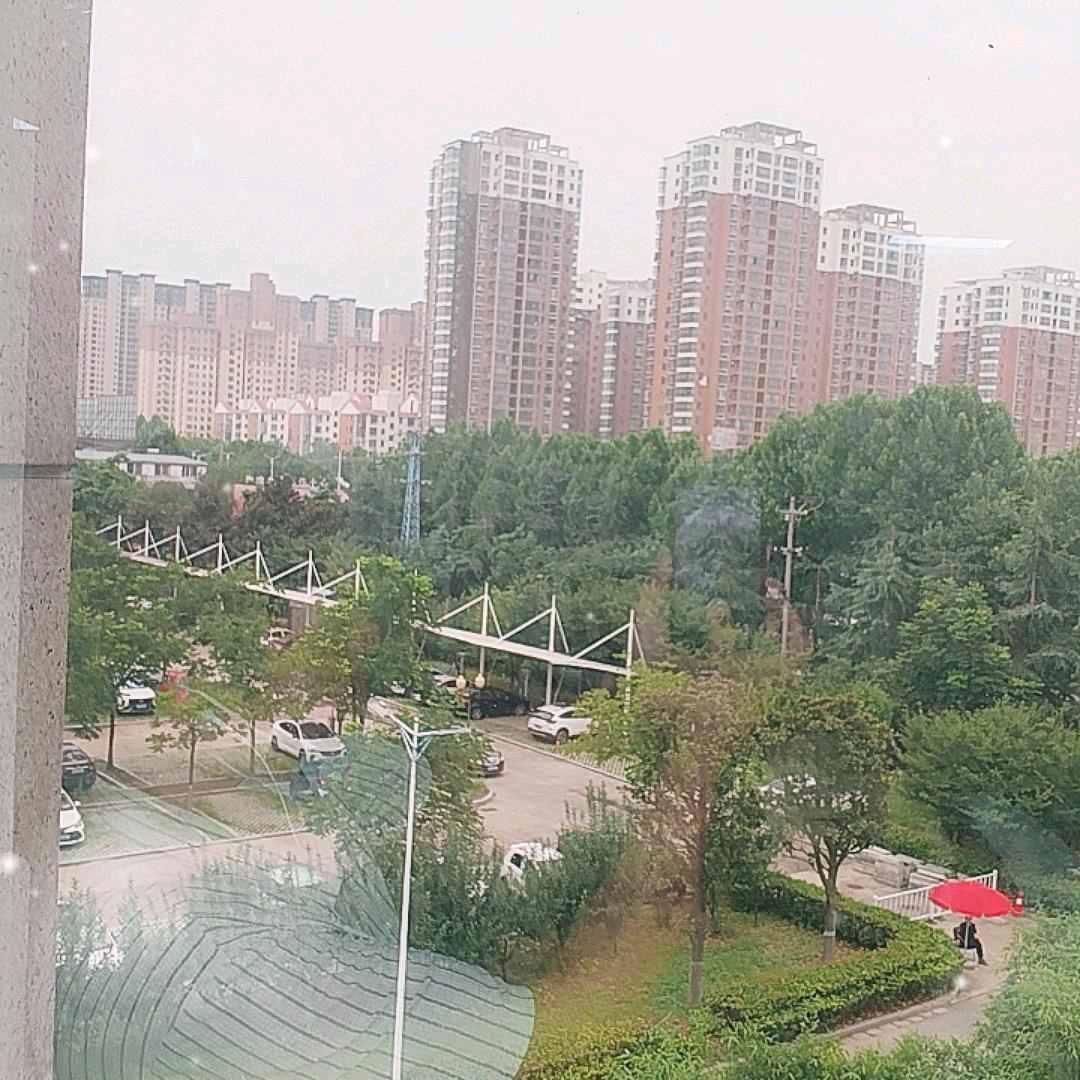 一笑很倾城