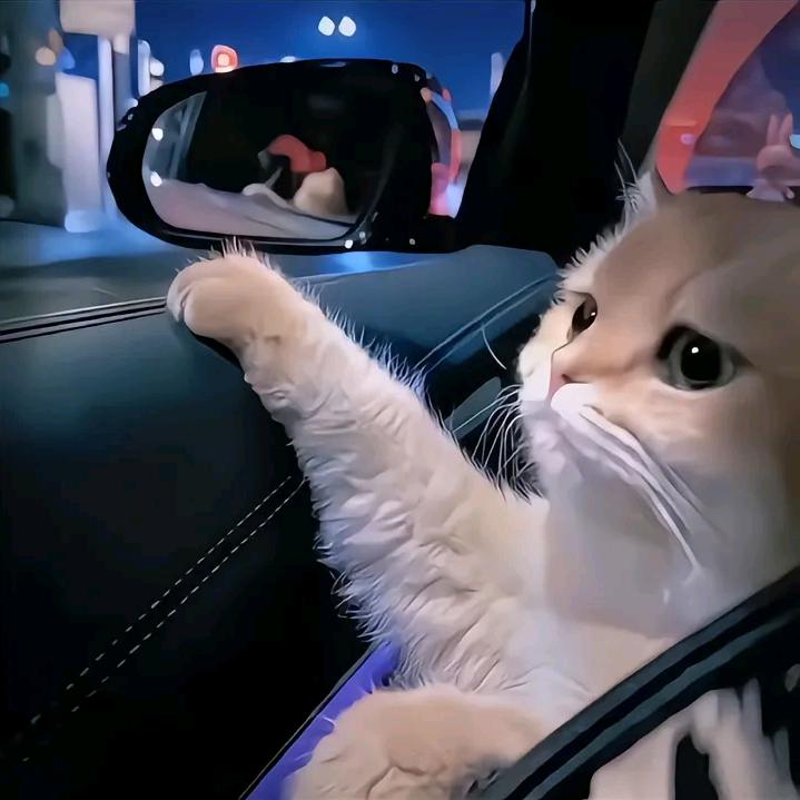 我在哭？