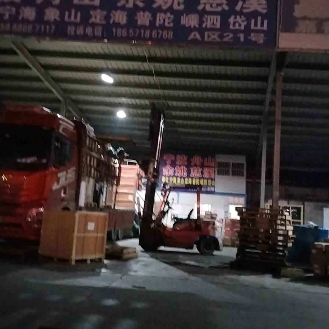 自由飞翔。