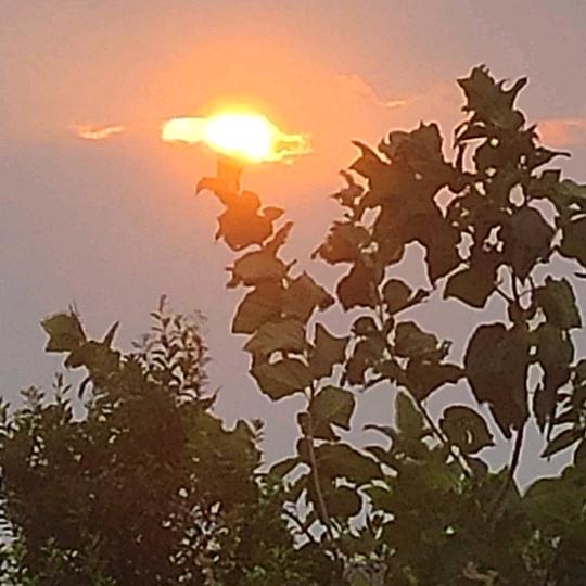 (シ_ 隋心_)シ隋意