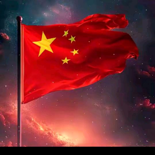 爱玩乐高的qishun