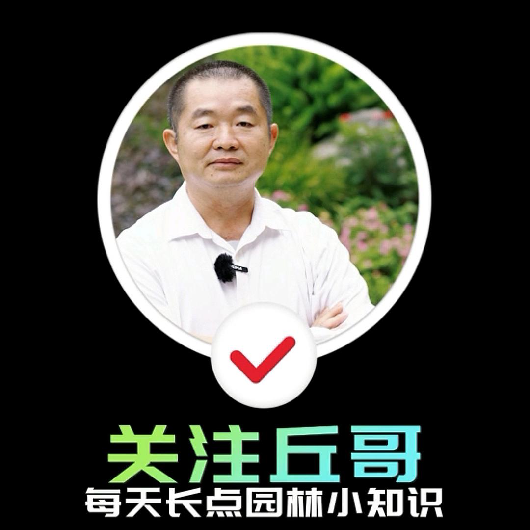 丘哥说园林