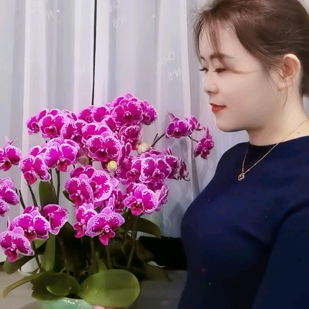 杨阳商贸行
