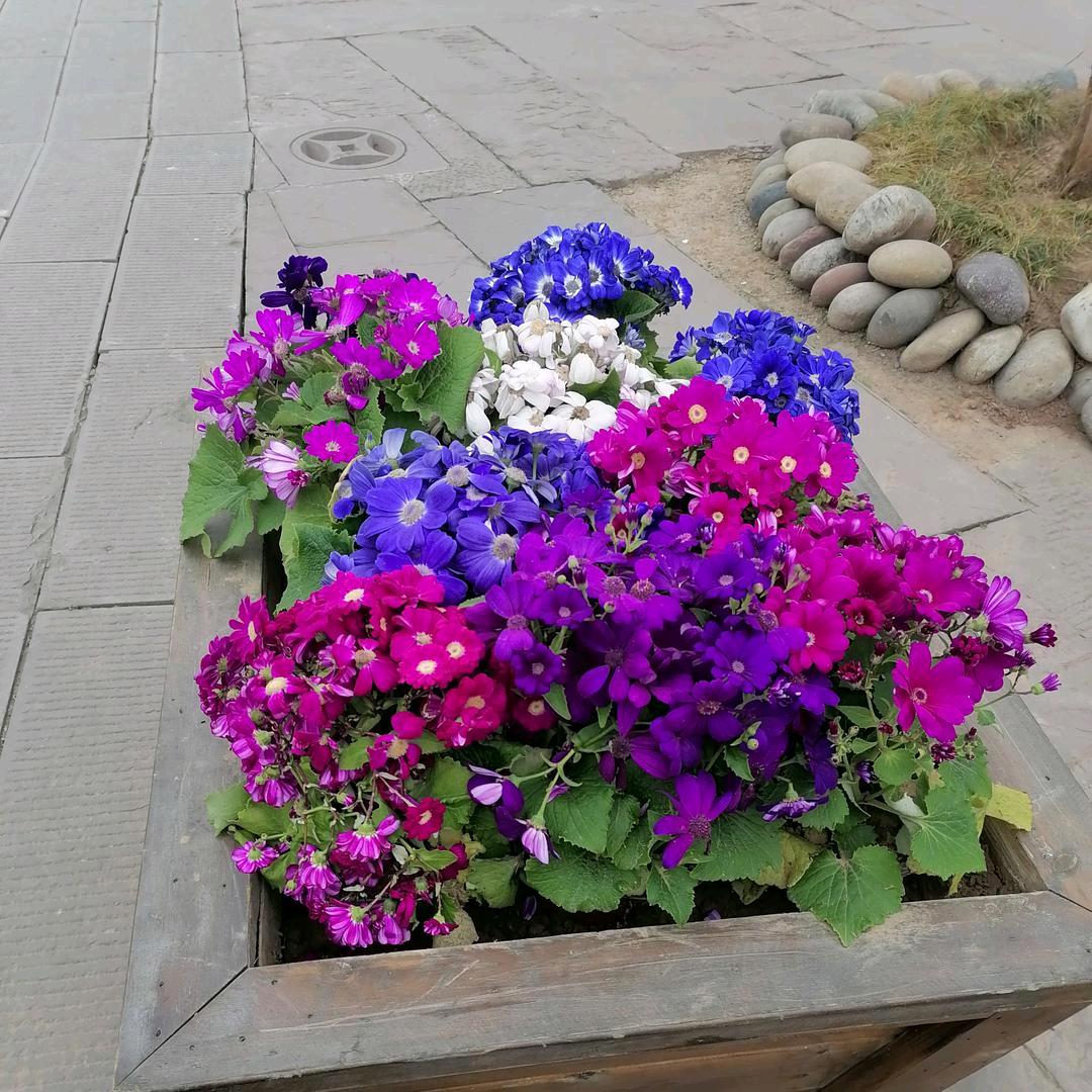 受伤的心谁能懂，拒绝私聊