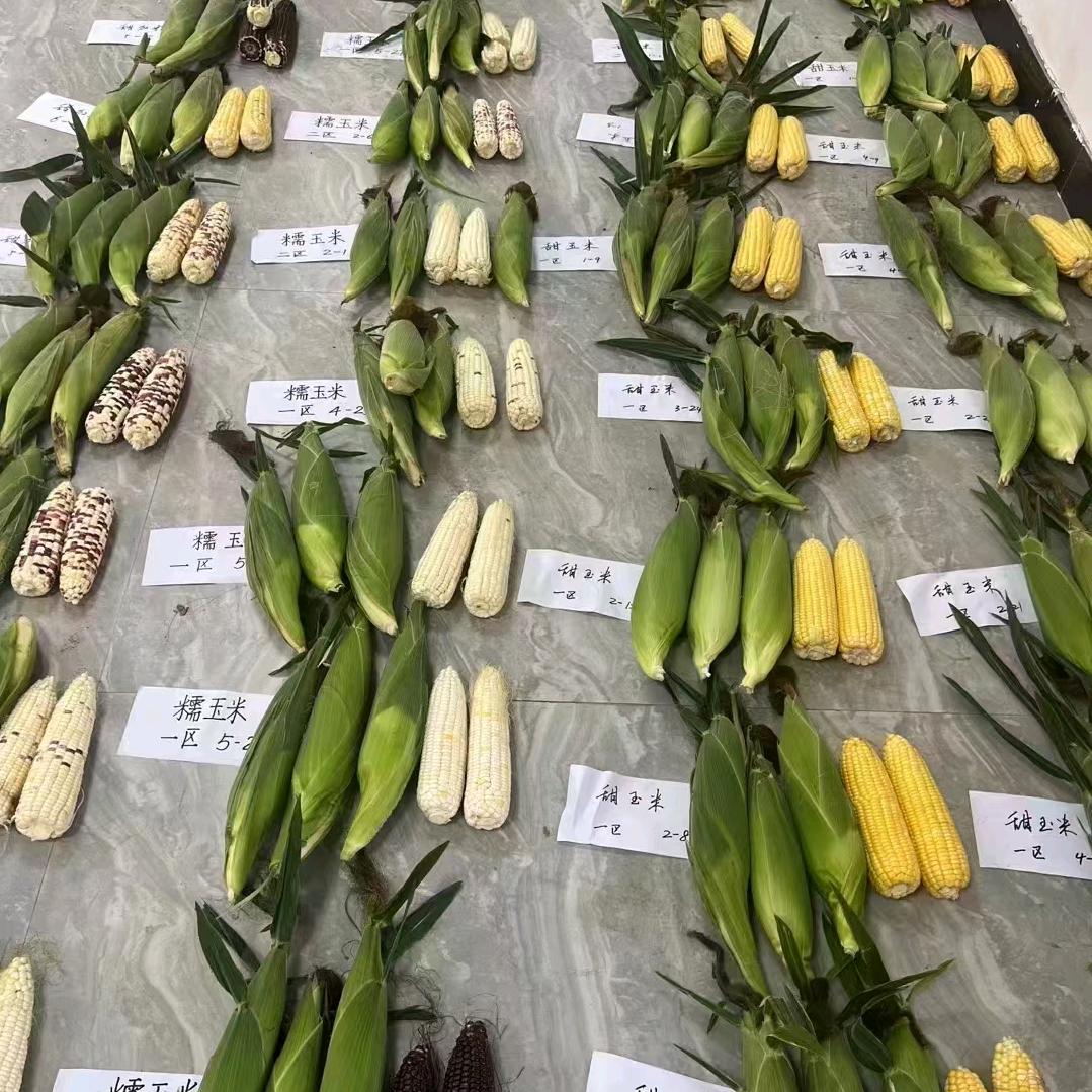 晋商，利源科技农业发展有限公司