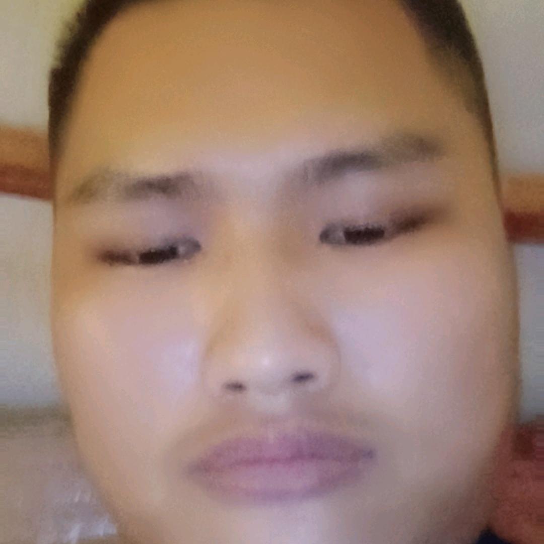 熊大熊二