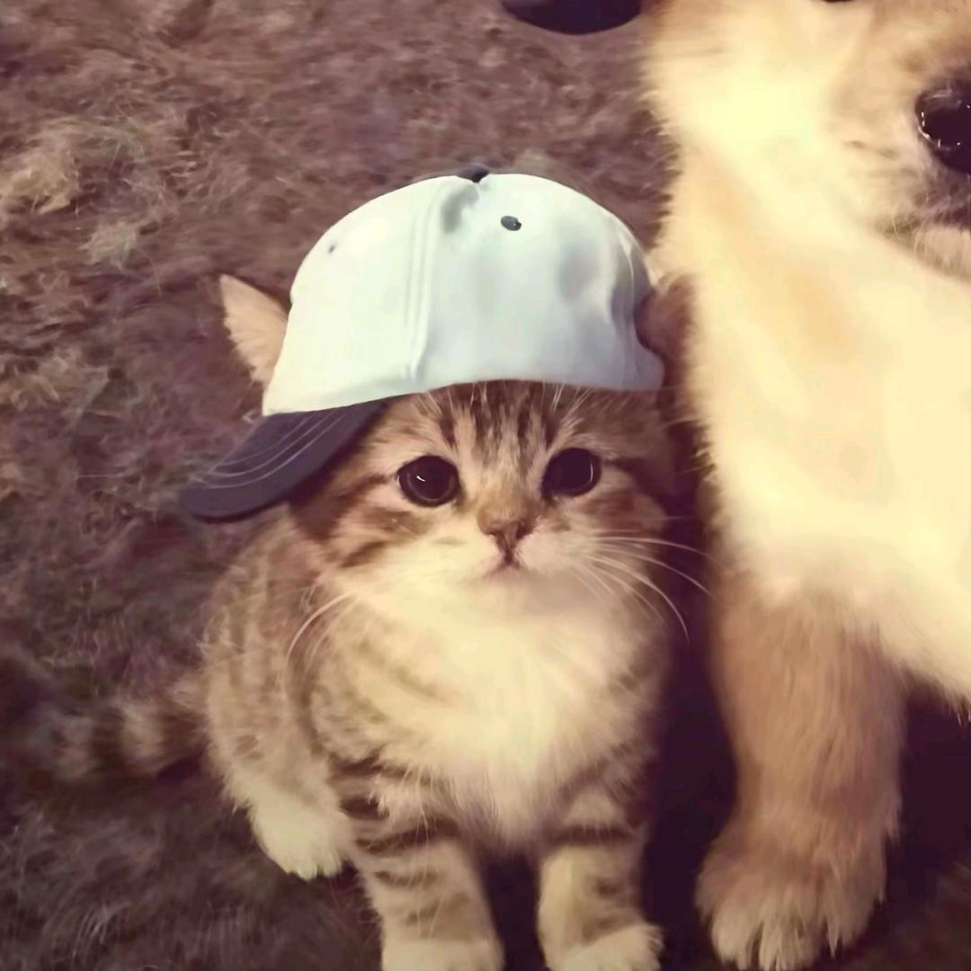 未名诗.