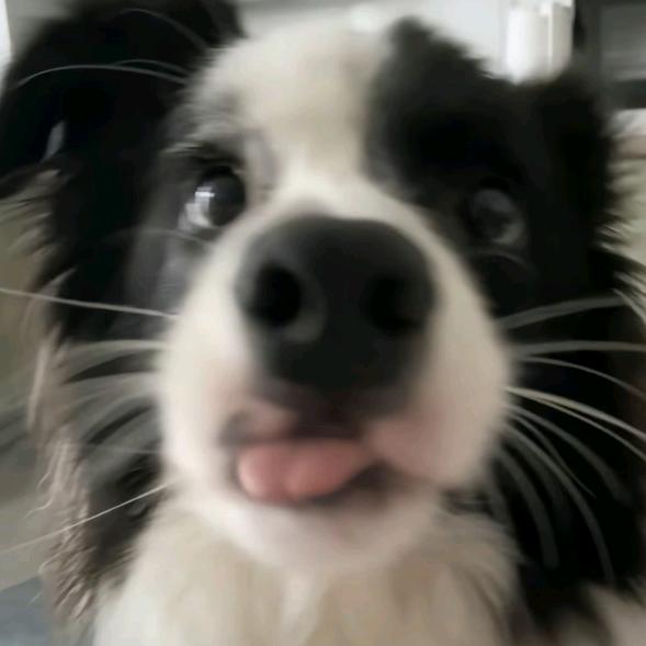 落秋
