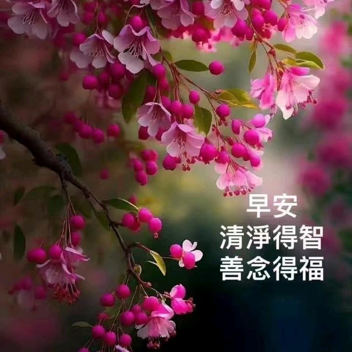 @笑看人生