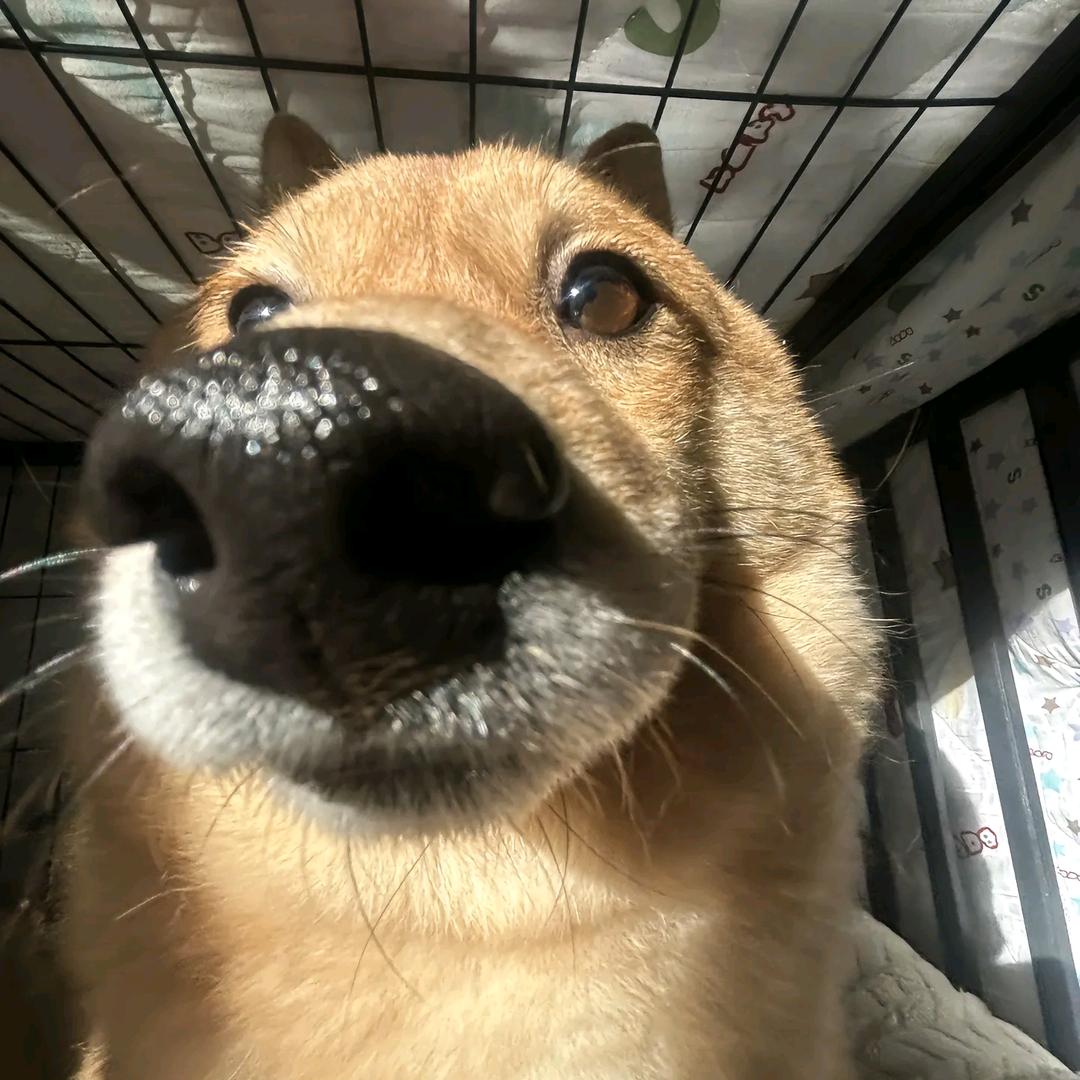 多喝水.
