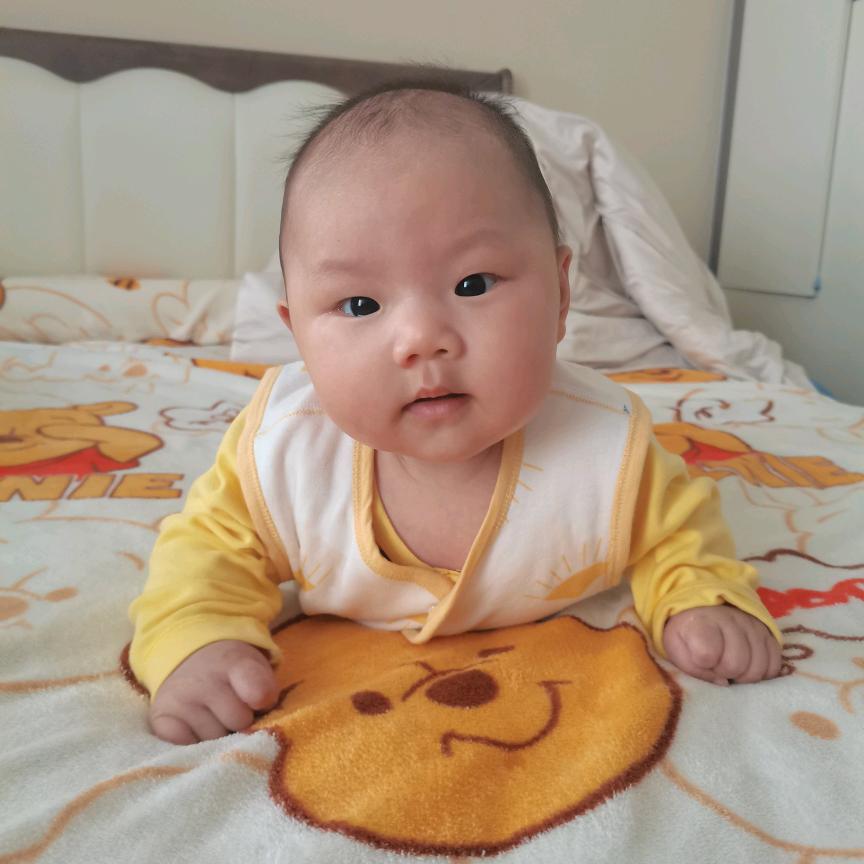 彬墩墩