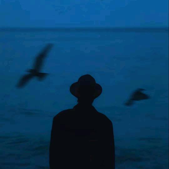 姜茶（约拍 装机 键盘调试组装）