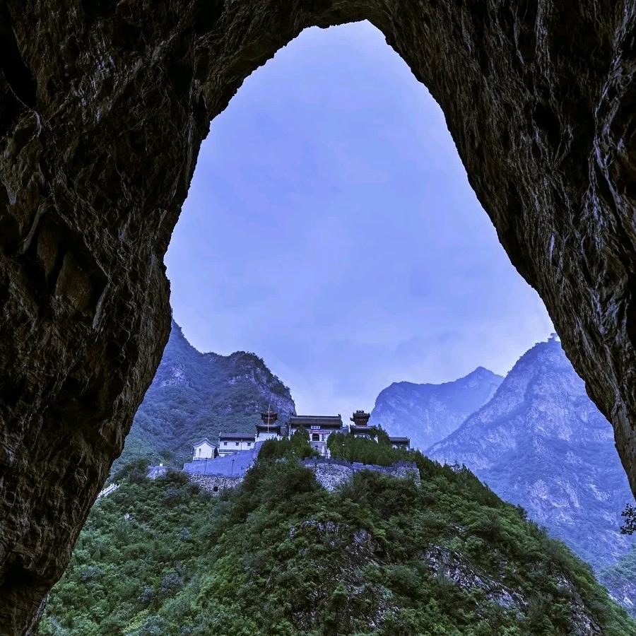 悟仙