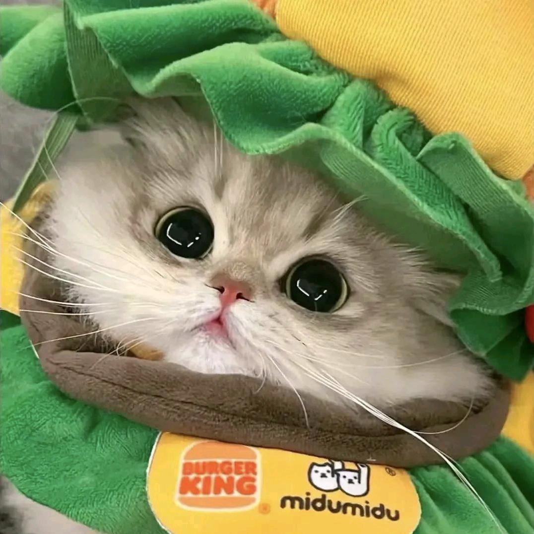 120斤的圆脸陈陈