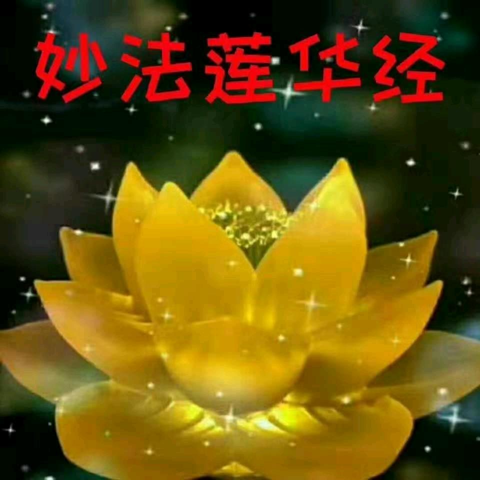 妙法莲华经