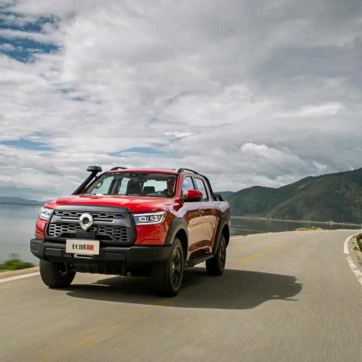 君垚汽服~二手皮卡垚垚