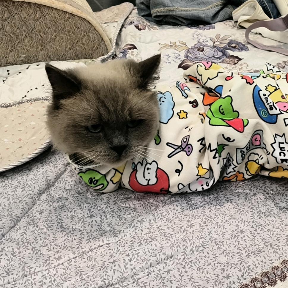 陈大力（努力减肥版）