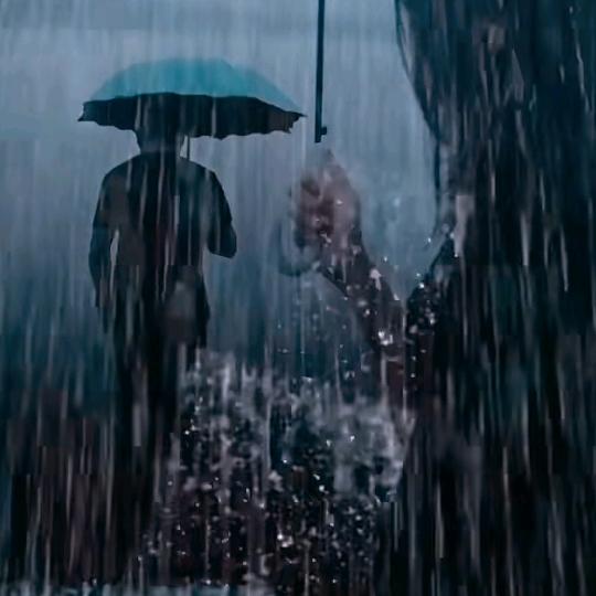 ζྀི)🌷情緣🌿੯‧̀͡₎