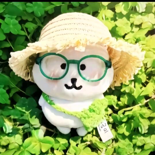 晚风遇见你