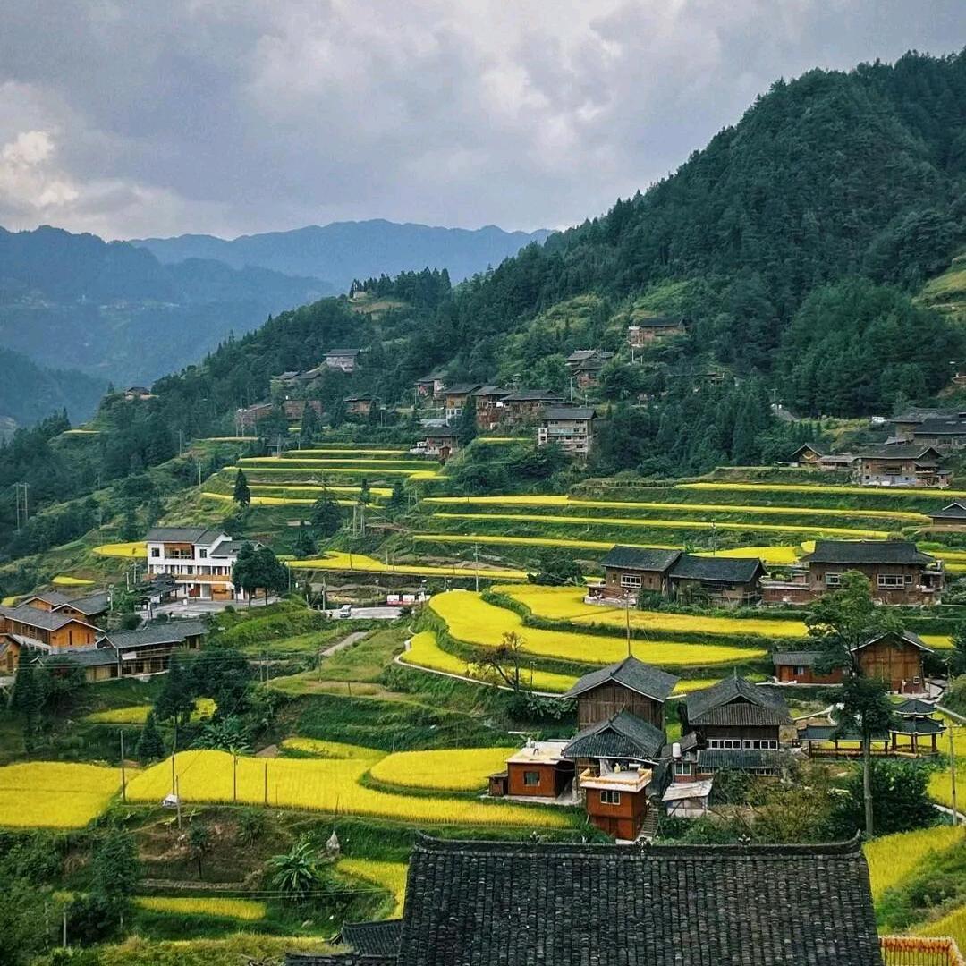 梦🌹想🌹成🌹真🌹夏