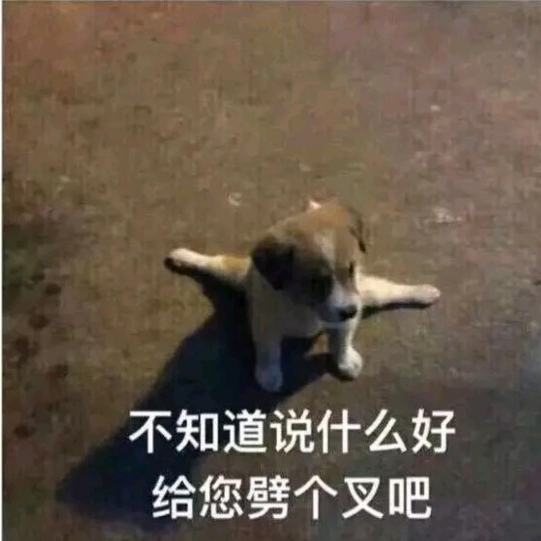 一抹浅念丶