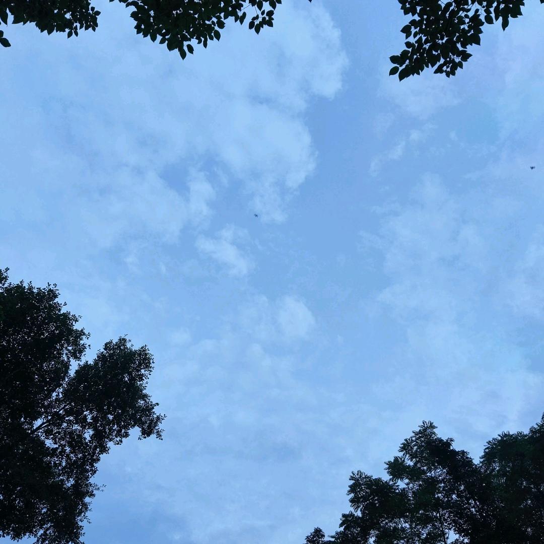 道一头像