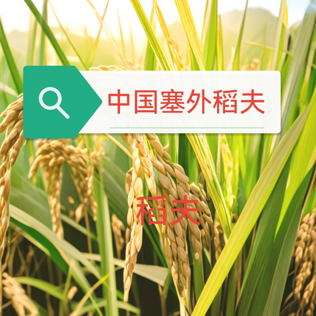 稻夫
