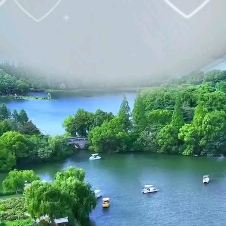 开州袁姐