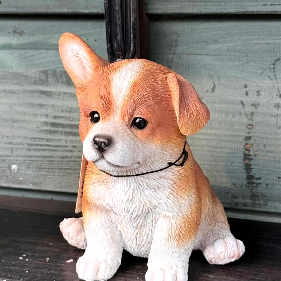 我什么都不知道🍓