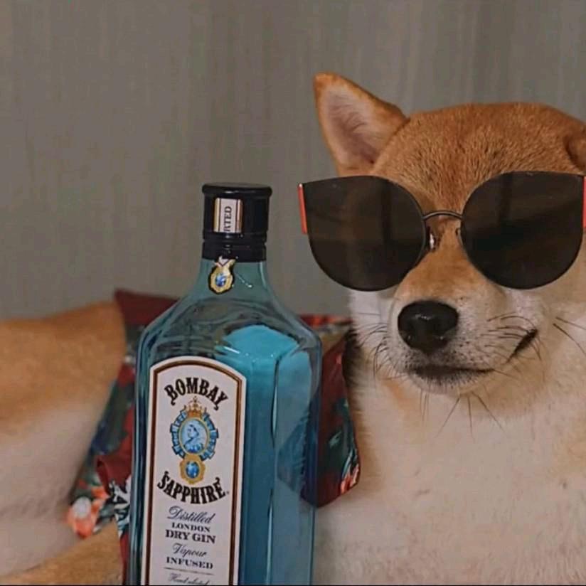 灬流心奶黄包灬