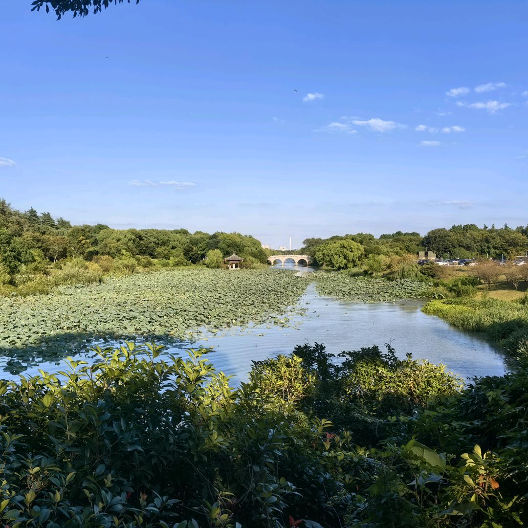 @到