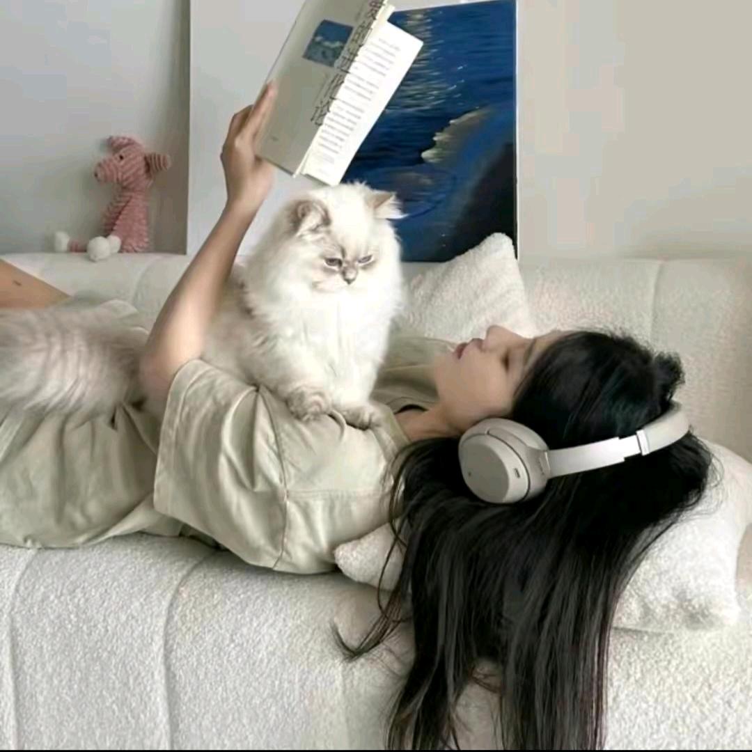 嘻嘻怪我喽