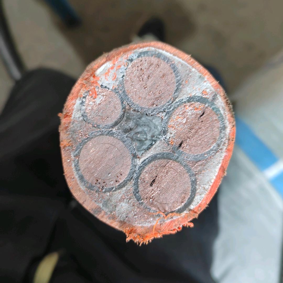 有文化的小蔡