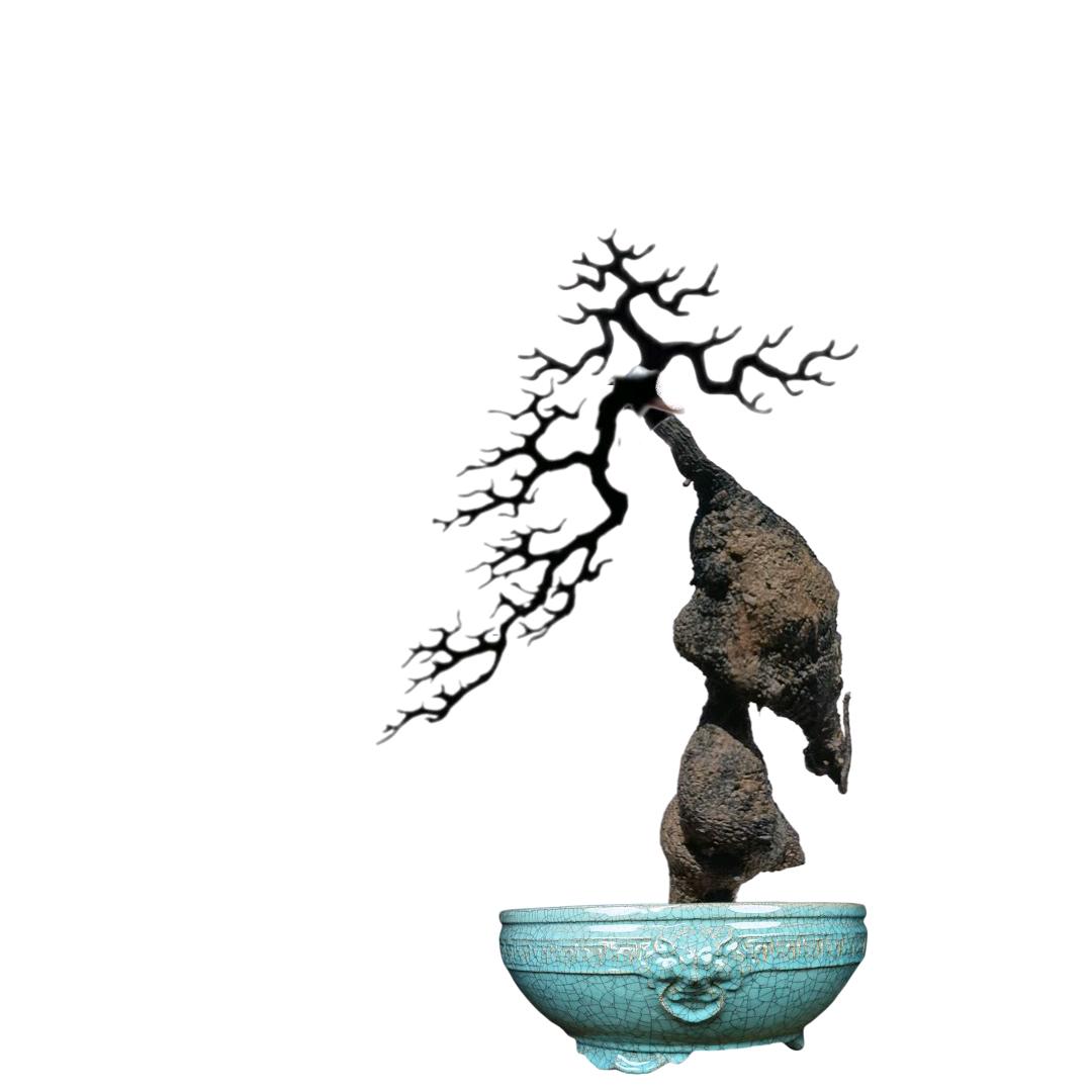 仕超花卉经营部