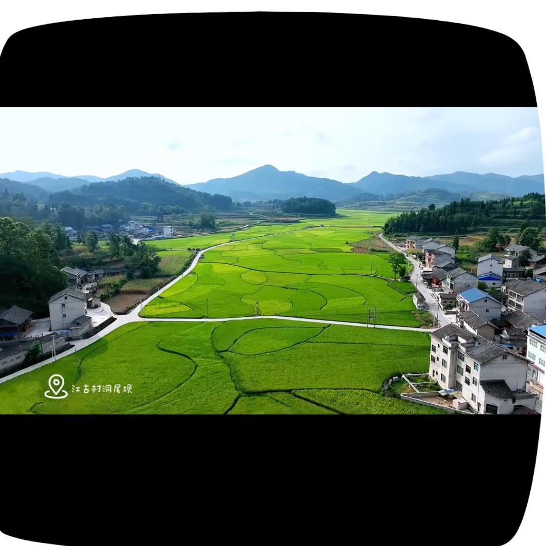 痴心狂💫️龍✨️