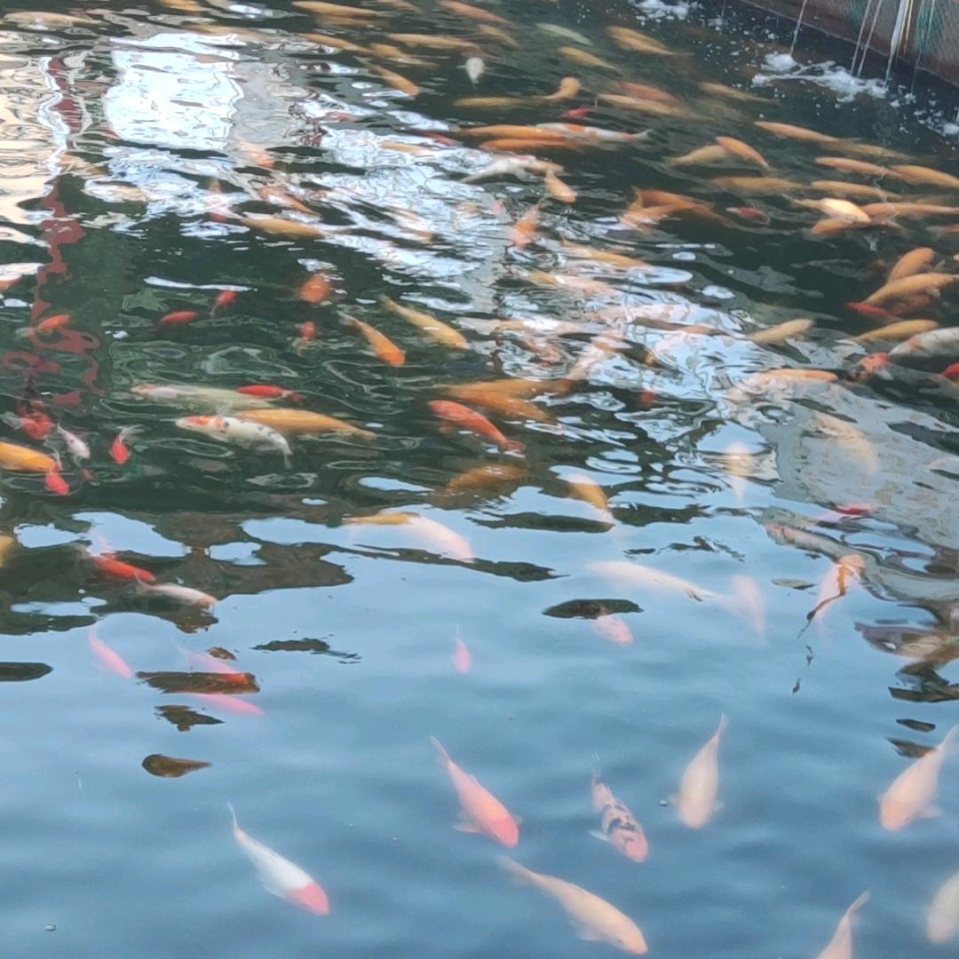 🌈阳光🌈