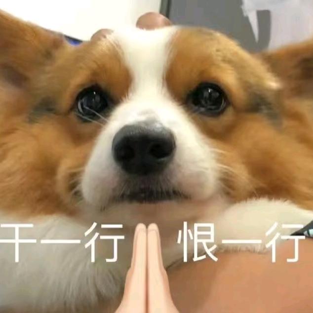 小白（三角洲撞车）