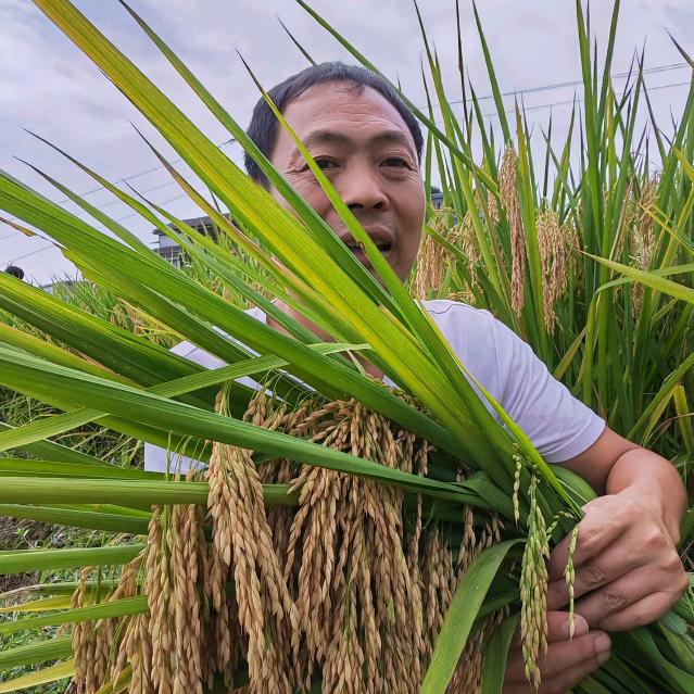 林龙彬法王寺镇农资经营部
