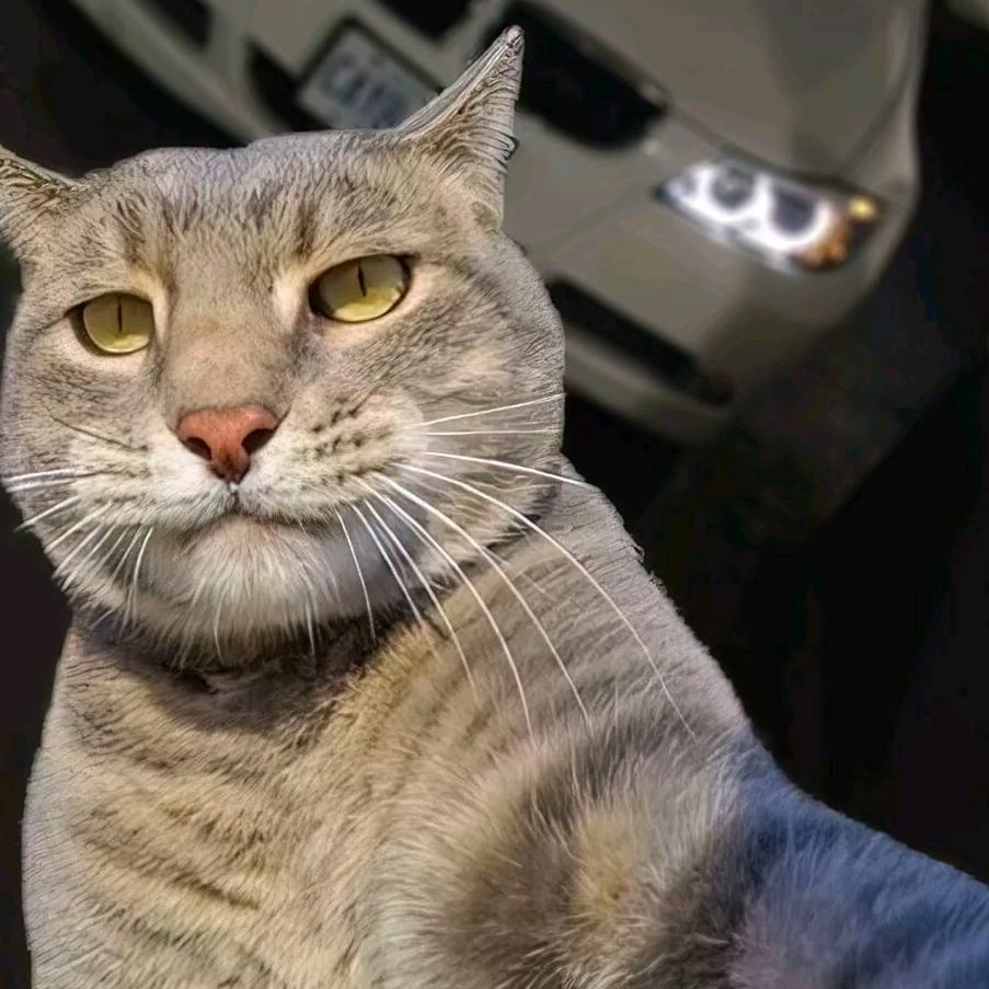 铁强（三角洲行动）