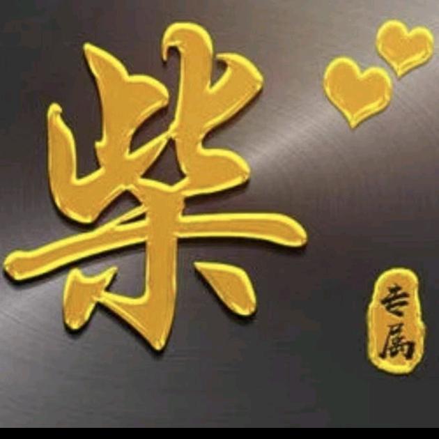 柴源滚滚（审车）