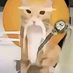 无＿A(夺舍导师)