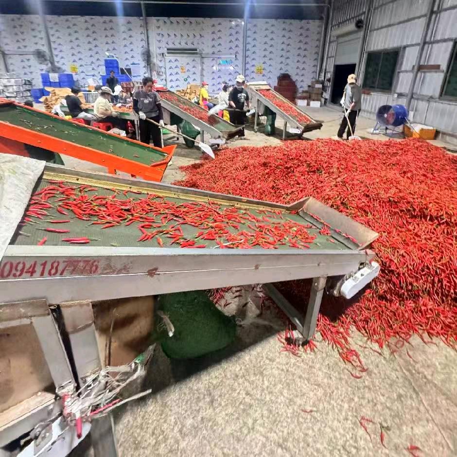 诚臻农品