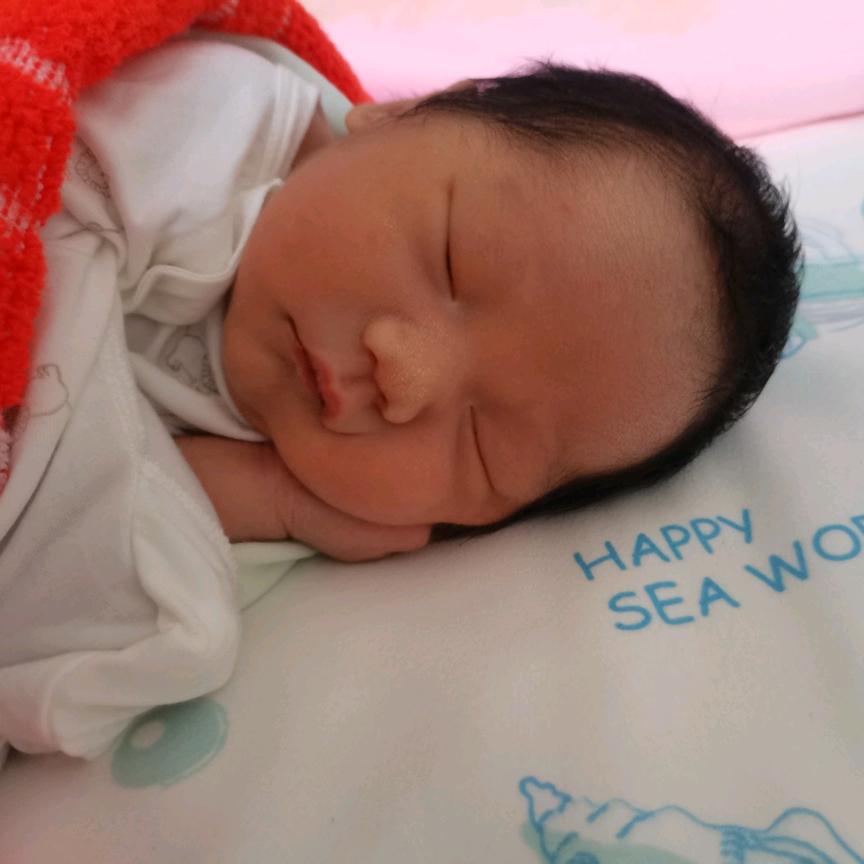 恩寿堂迁墓一条龙