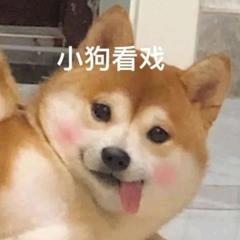 ＃小怪🍋
